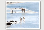 elafonisi - car rental in lassithi