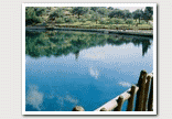zaros - car rental in lassithi