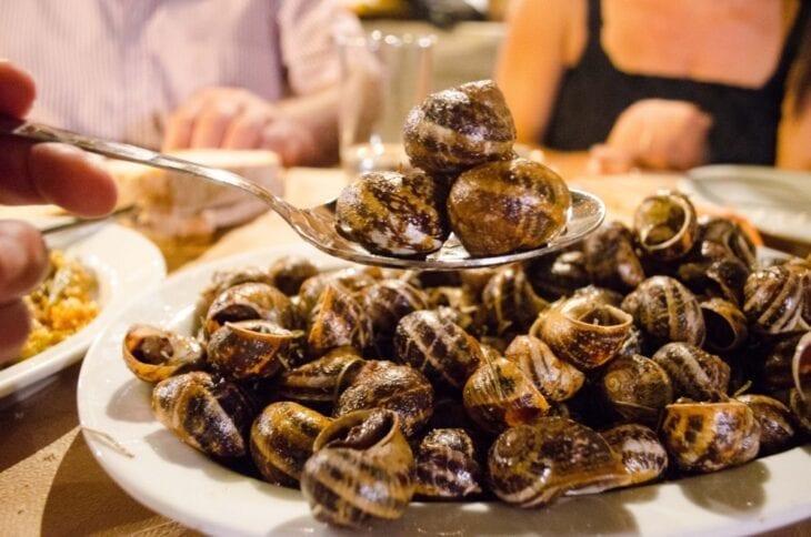 Schnecken auf Kreta