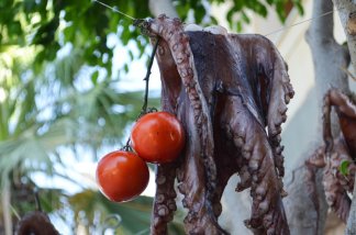 Octopus at Elounda Crete