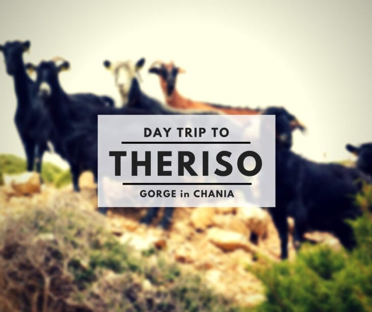 Chania Theriso Gorge Day trip