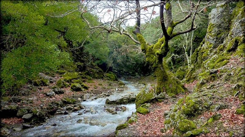 Gorges de Rouvas