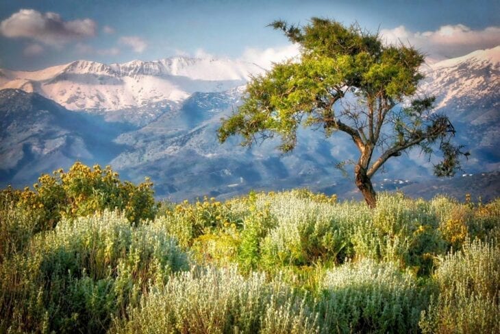 Cretan Nature