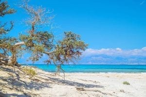 chrissi creta kreta snorkelen deserta zingarate