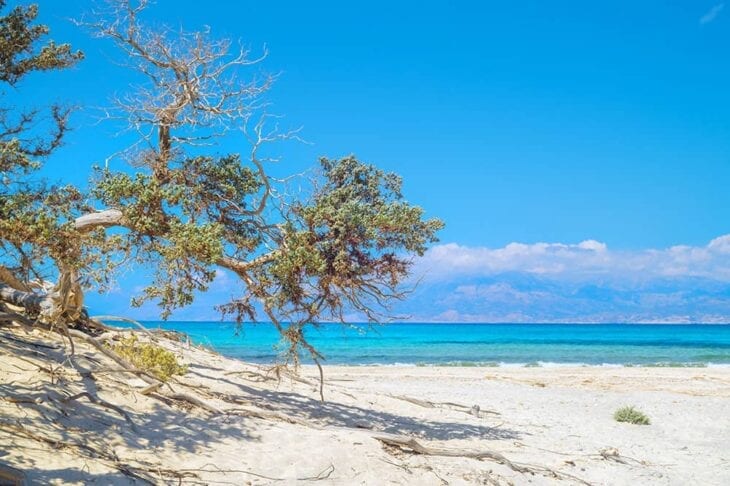 chrissi-island-beach-1