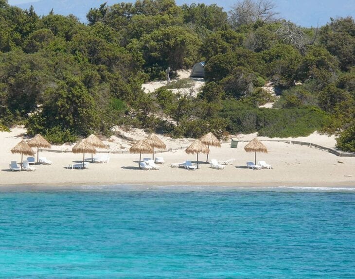 Het bos op het strand van Chrissi