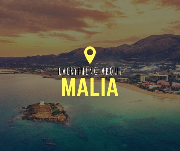 Everything about Malia