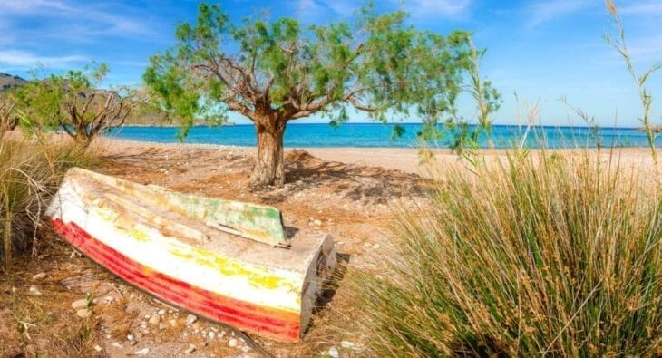 Kato Zakros-Baum am Strand