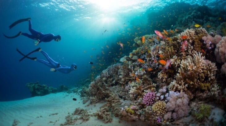 Free divers in Cretan Sea