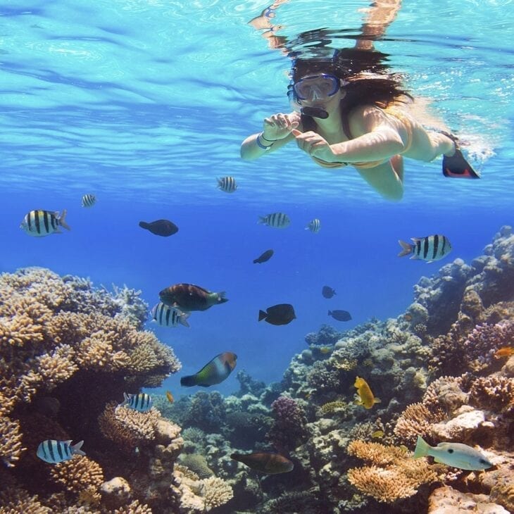woman underwater snorkeling
