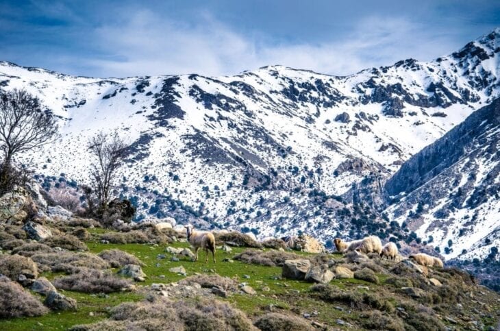 De bergen van Lassithi in de winter op Kreta