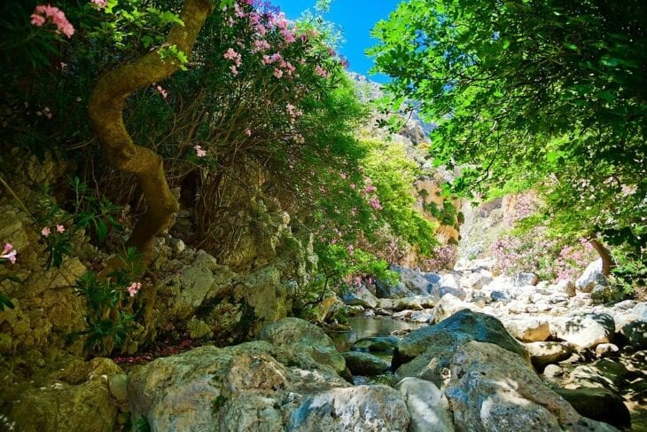 Au fond des gorges de Kourtaliotiko