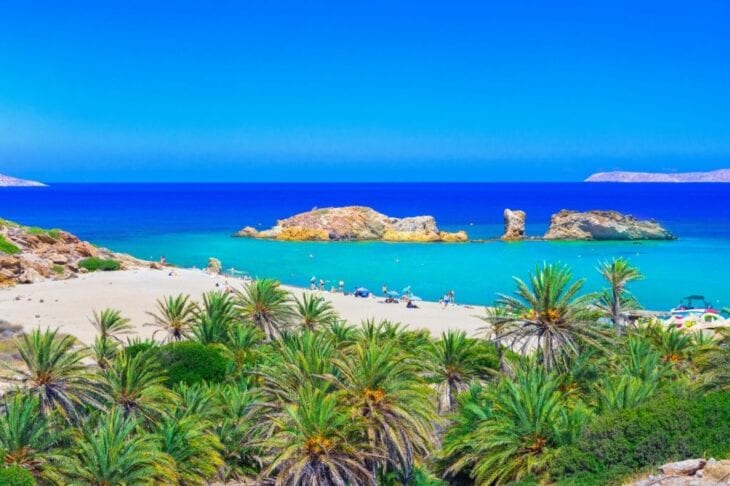 Palmenlandschaft am Strand von Vai auf Kreta