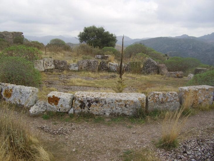 Antica Polyrrinia