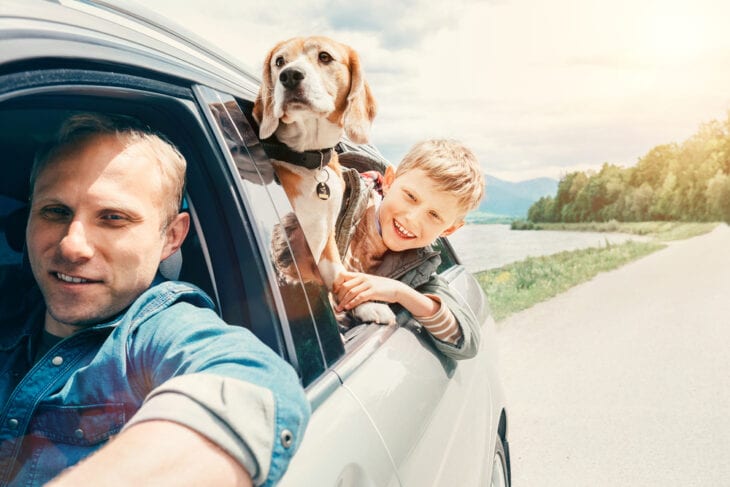 Vater Hund und Sohn schauen ins Autofenster