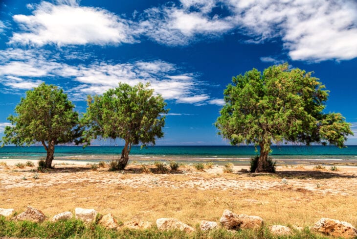 Bloeiende bomen in Anissaras Beach