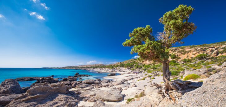 Kedrodasos Strand Kreta Griechenland