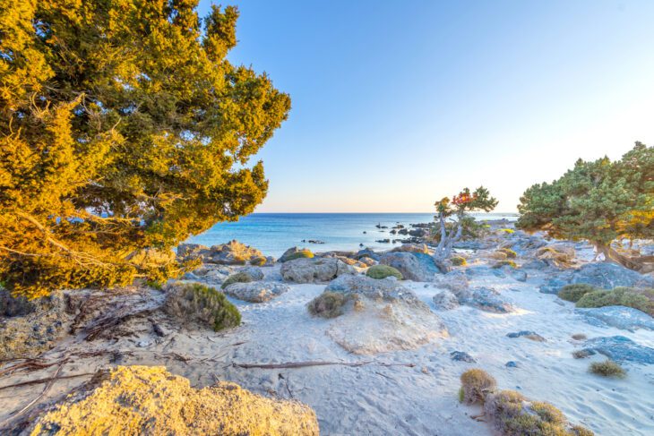 Kedrodasos strand - Cederwoud Kreta