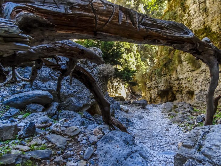 Pfad in der Imbros-Schlucht