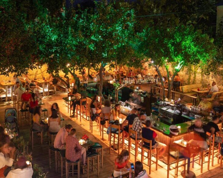 ali Vafi's Garden