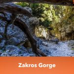 Gorge of the Dead