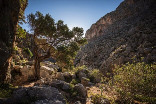 A Guide to Chochlakies History, Map, Hiking, and Car Rental