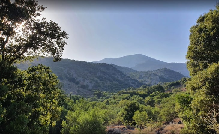 Kritsa Gorge