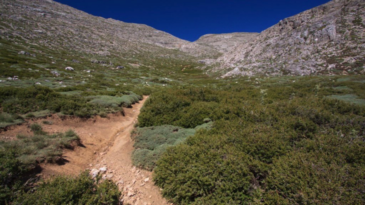 Wanderweg zum Berg Ida - Psiloritis