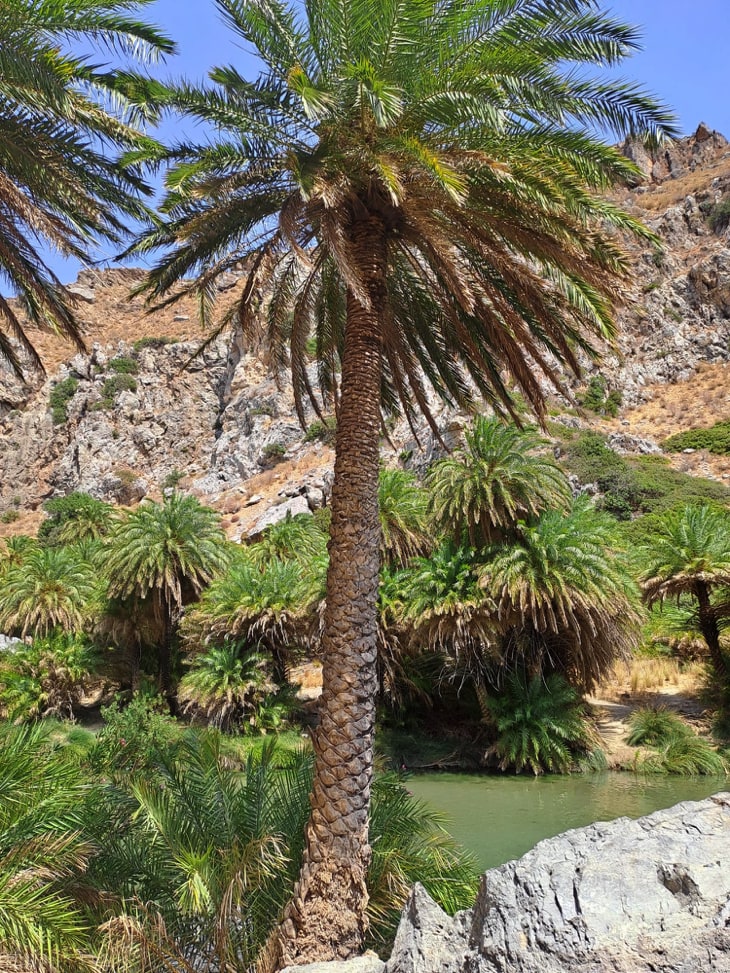 Preveli beach