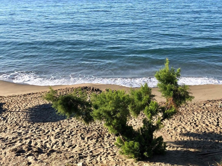 Rodakino Beach è una spiaggia sabbiosa