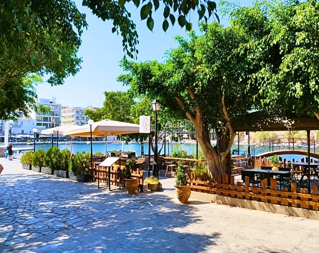Zygos Urban Garden