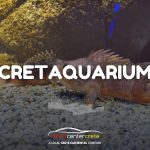 CretAquarium