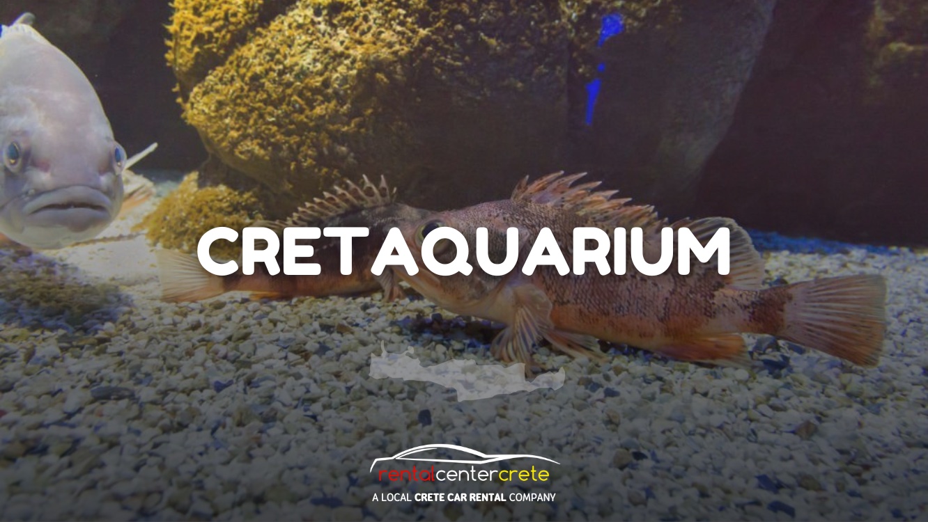 CretAquarium: Purpose, What To Do, and Location