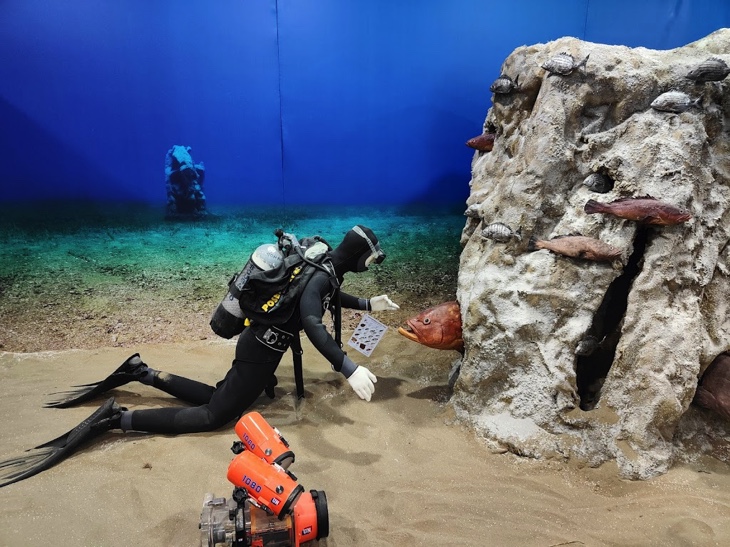 Diver in CretAquarium