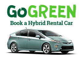 Car Rental